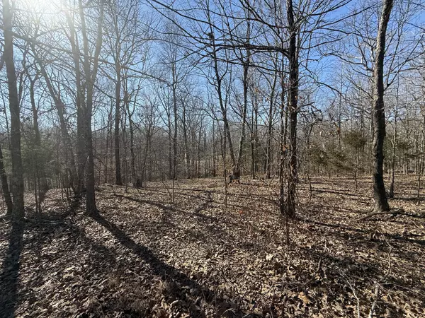 Indian Mound, TN 37079,30 Backwoods Estates