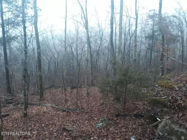 Jamestown, TN 38556,0 Crab Mountain Rd