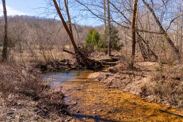 Hohenwald, TN 38462,134 Cane Creek Rd