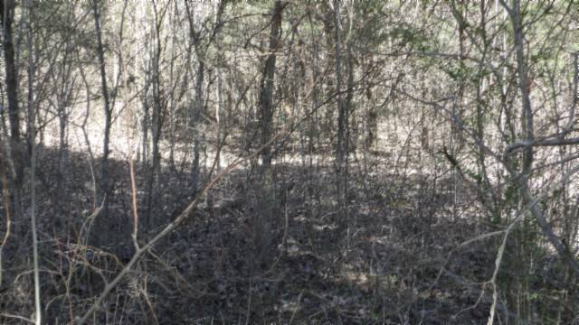 Riddleton, TN 37151,0 Lewis James Lane