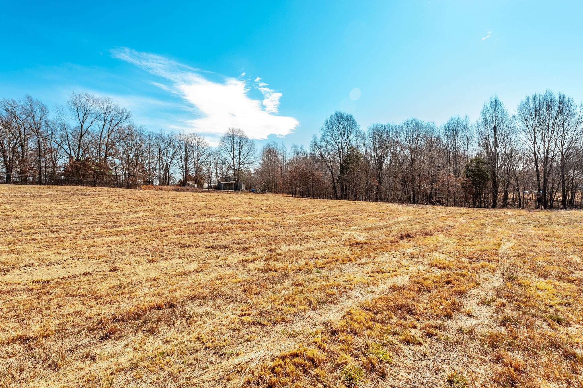 Portland, TN 37148,3438 Dobbins Pike