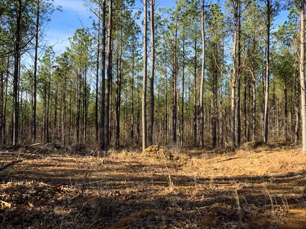 Saltillo, TN 38370,0 Doe Road