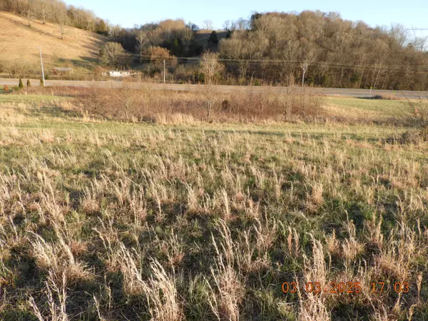 Frankewing, TN 38459,0 Pulaski Hwy