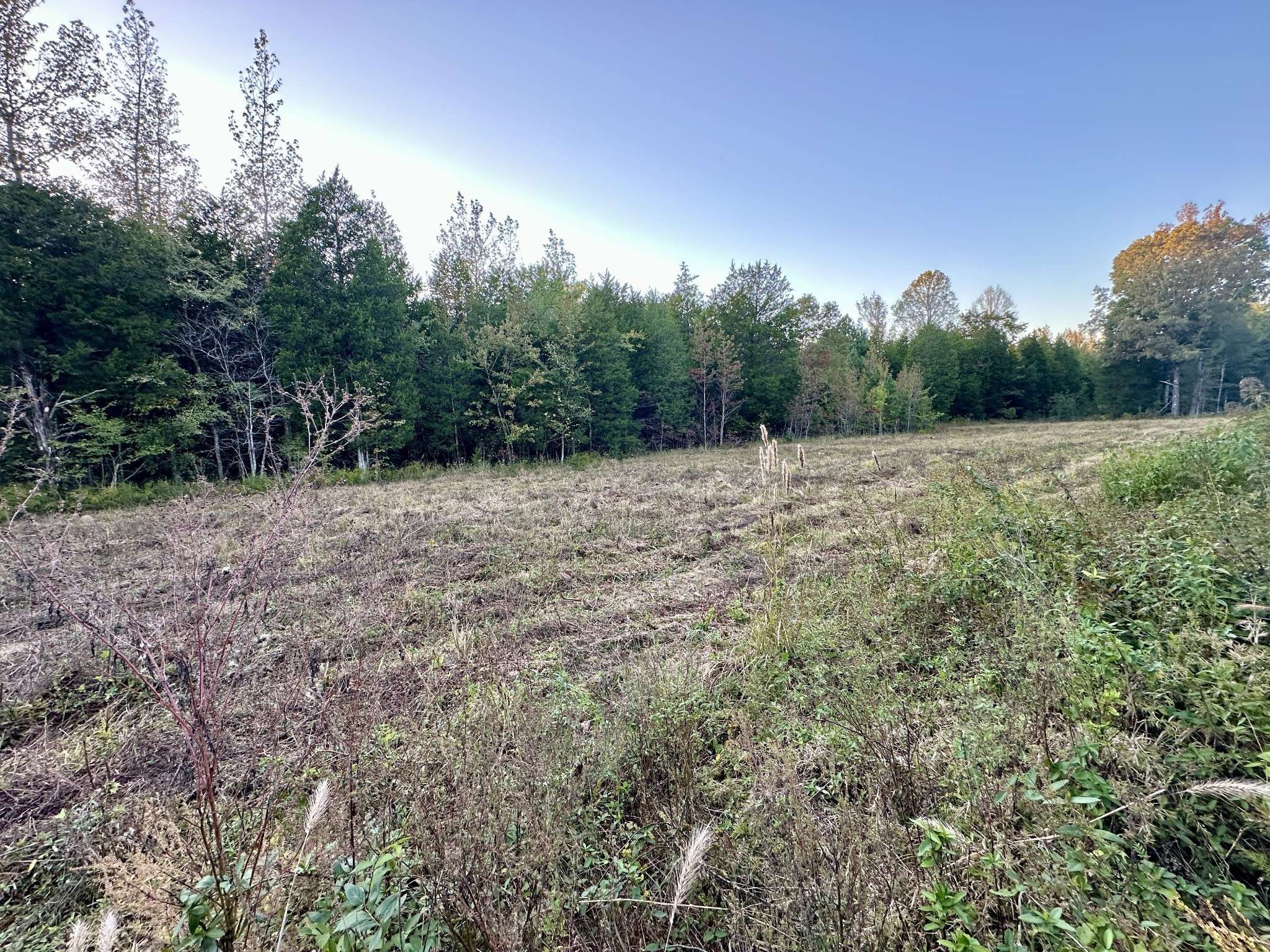 Holladay, TN 38341,1085 Coxburg Rd N