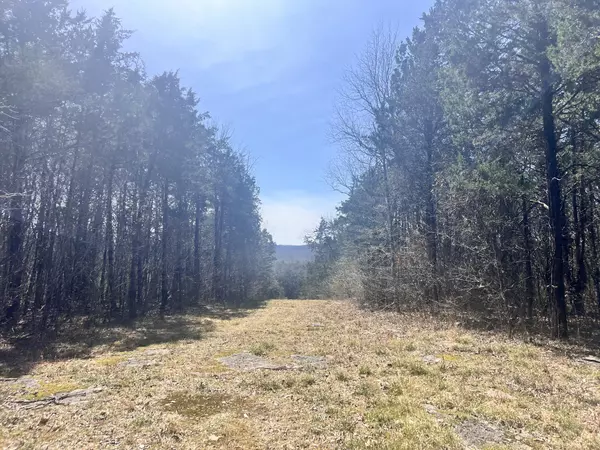 1 Browns Mill Rd, Lascassas, TN 37085