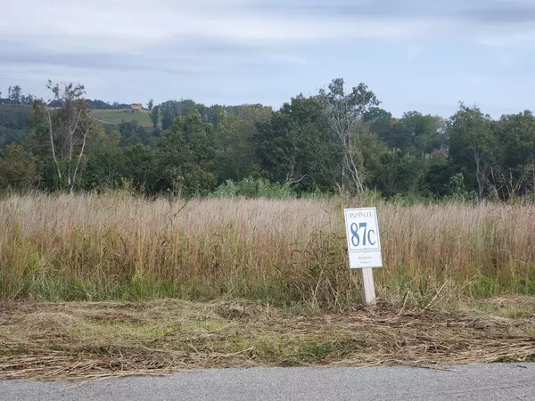 Hilham, TN 38568,87C Mallard Rd