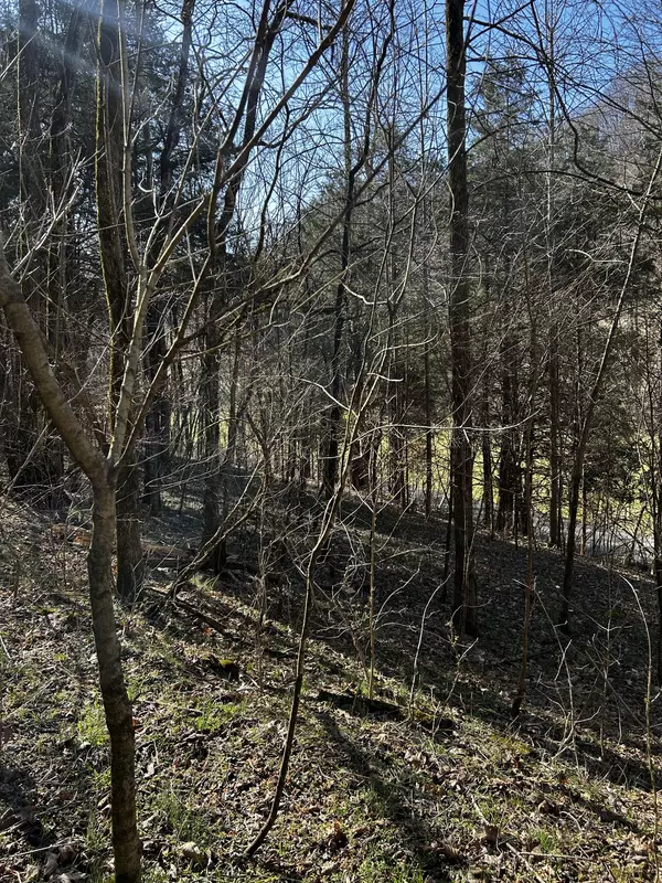 Pleasant Shade, TN 37145,0 Sycamore Valley Rd