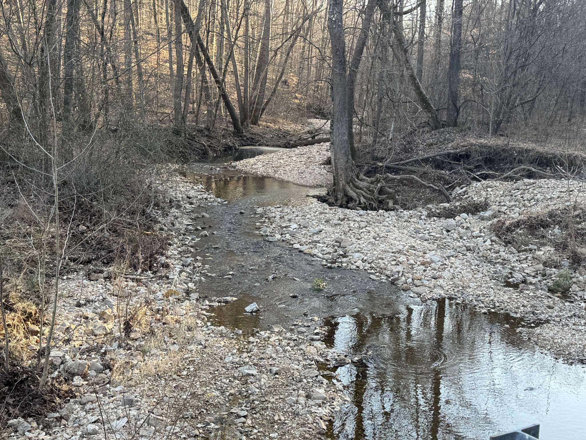 Dover, TN 37058,1 Cox Hollow Rd