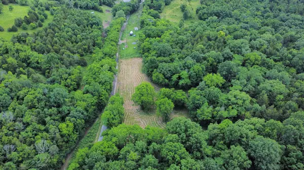 Bradyville, TN 37026,1790 Tolbert Hollow rd