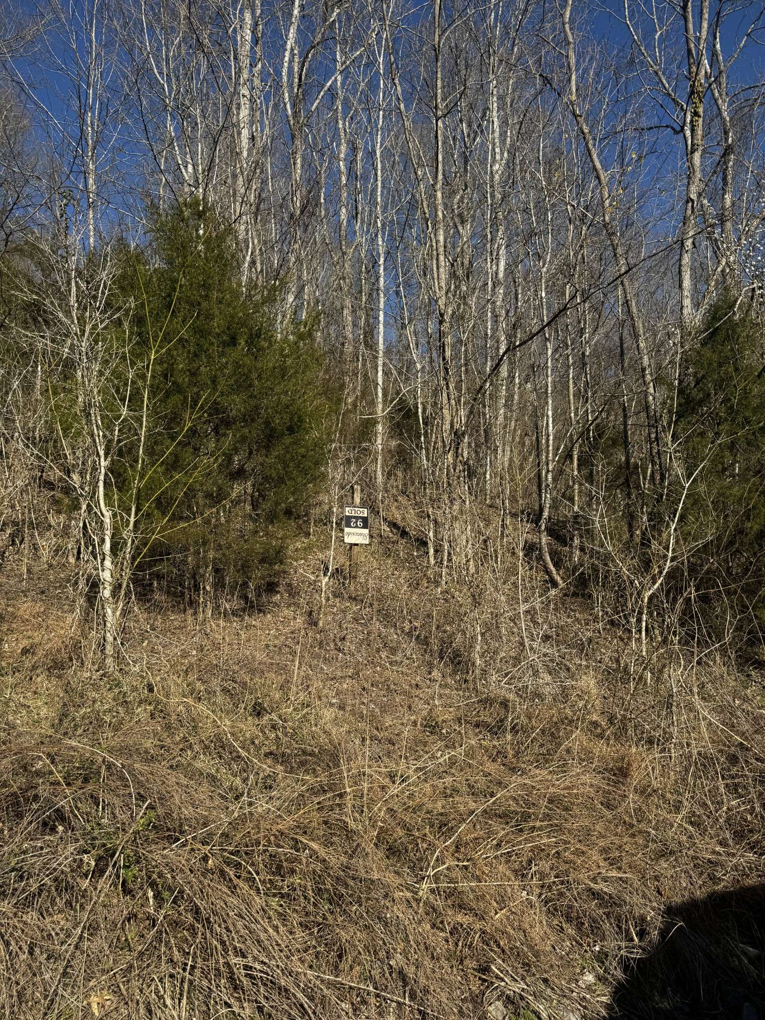 Smithville, TN 37166,10 Shoreside Dr