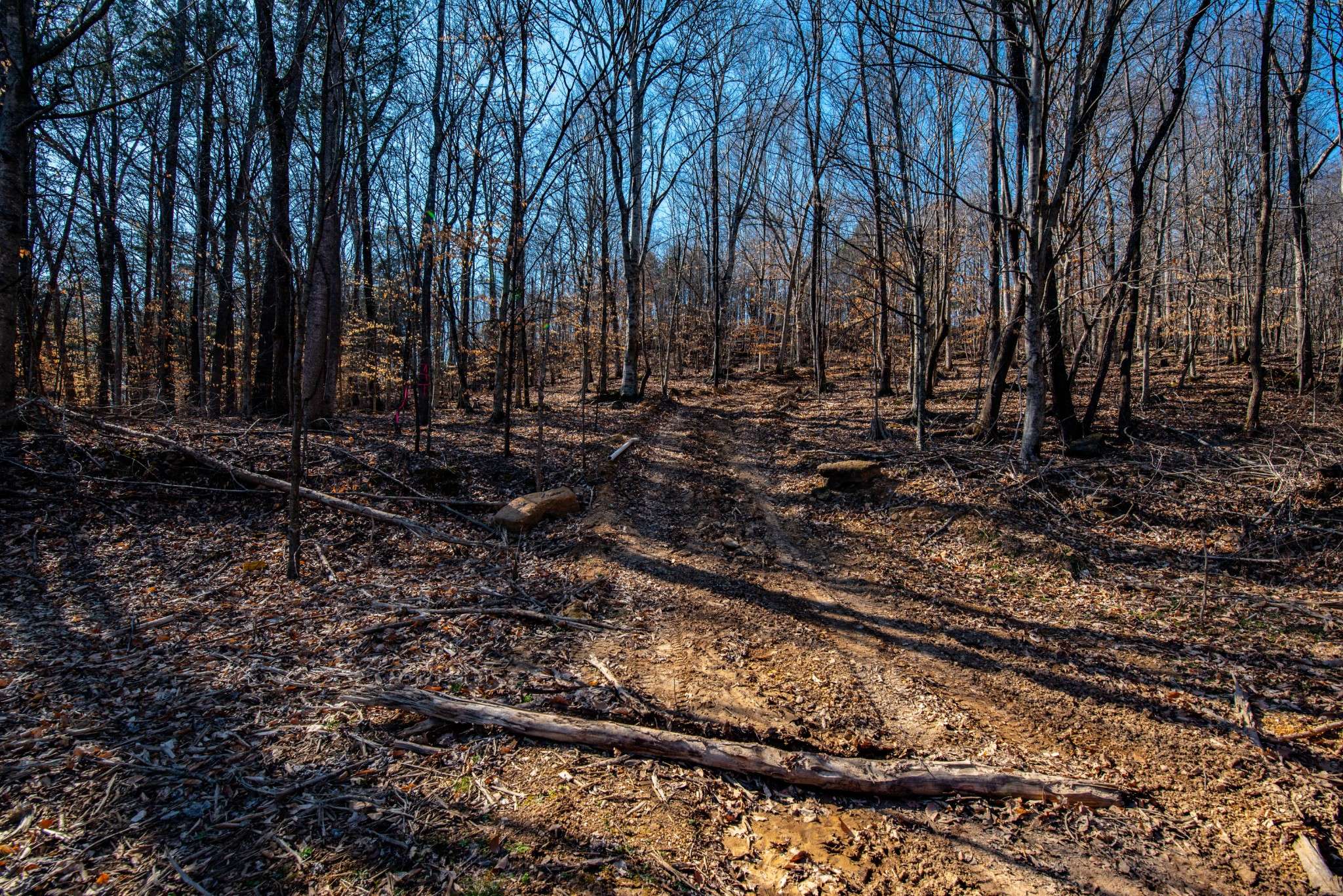 Linden, TN 37096,1627 Hurricane creek