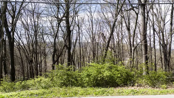 269 Whitehall Road, Chattanooga, TN 37405