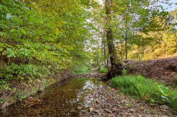 Centerville, TN 37033,0 Puckett Hollow Rd