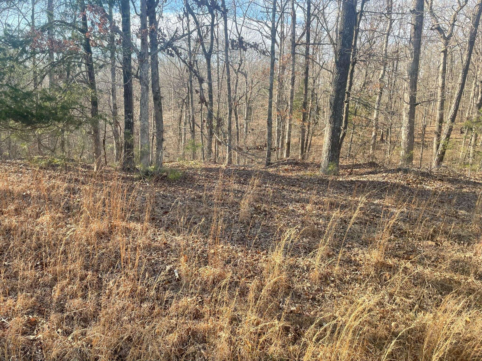 Henderson, TN 38340,217 Magee Trail