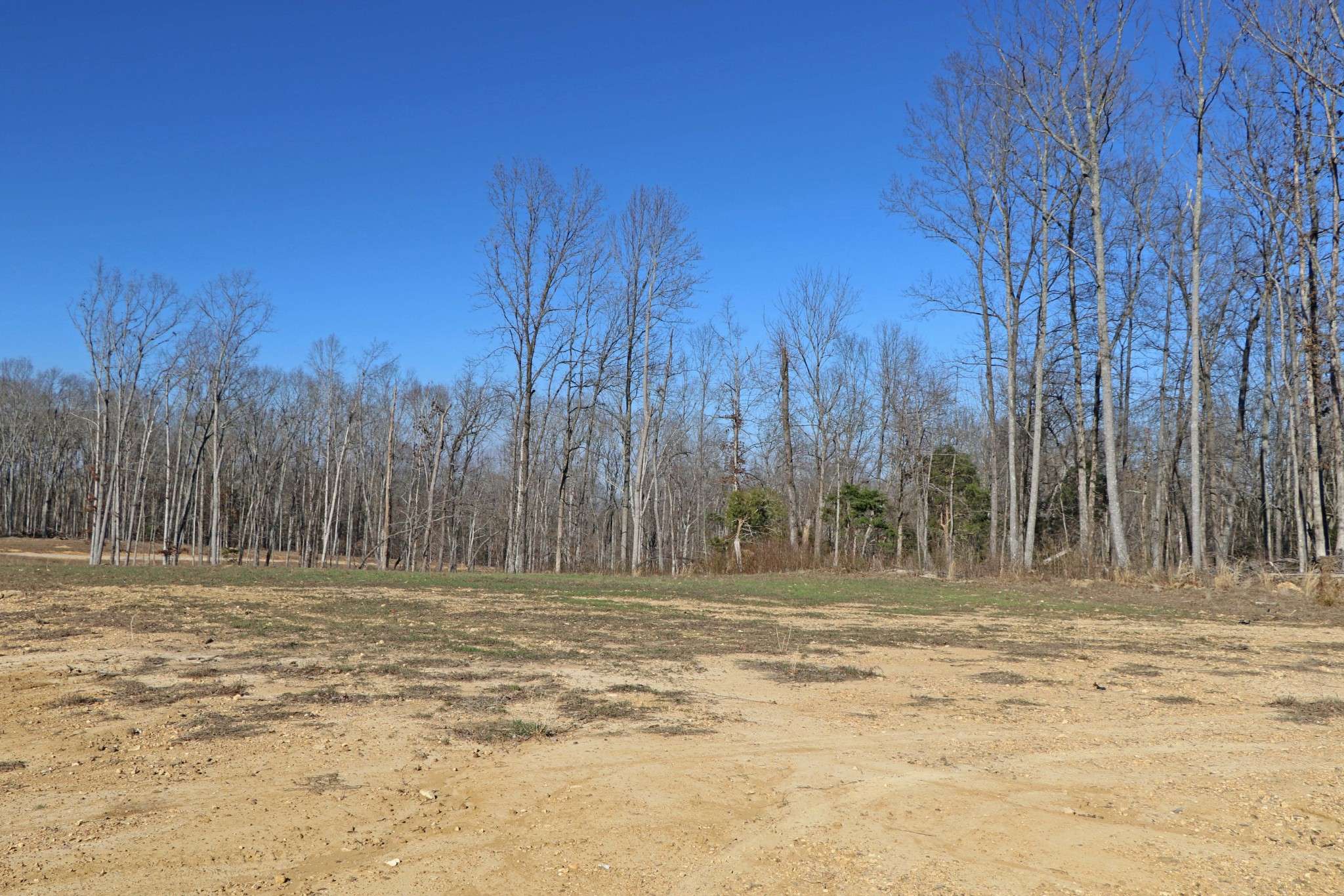Vanleer, TN 37181,4 Oak Ridge Rd