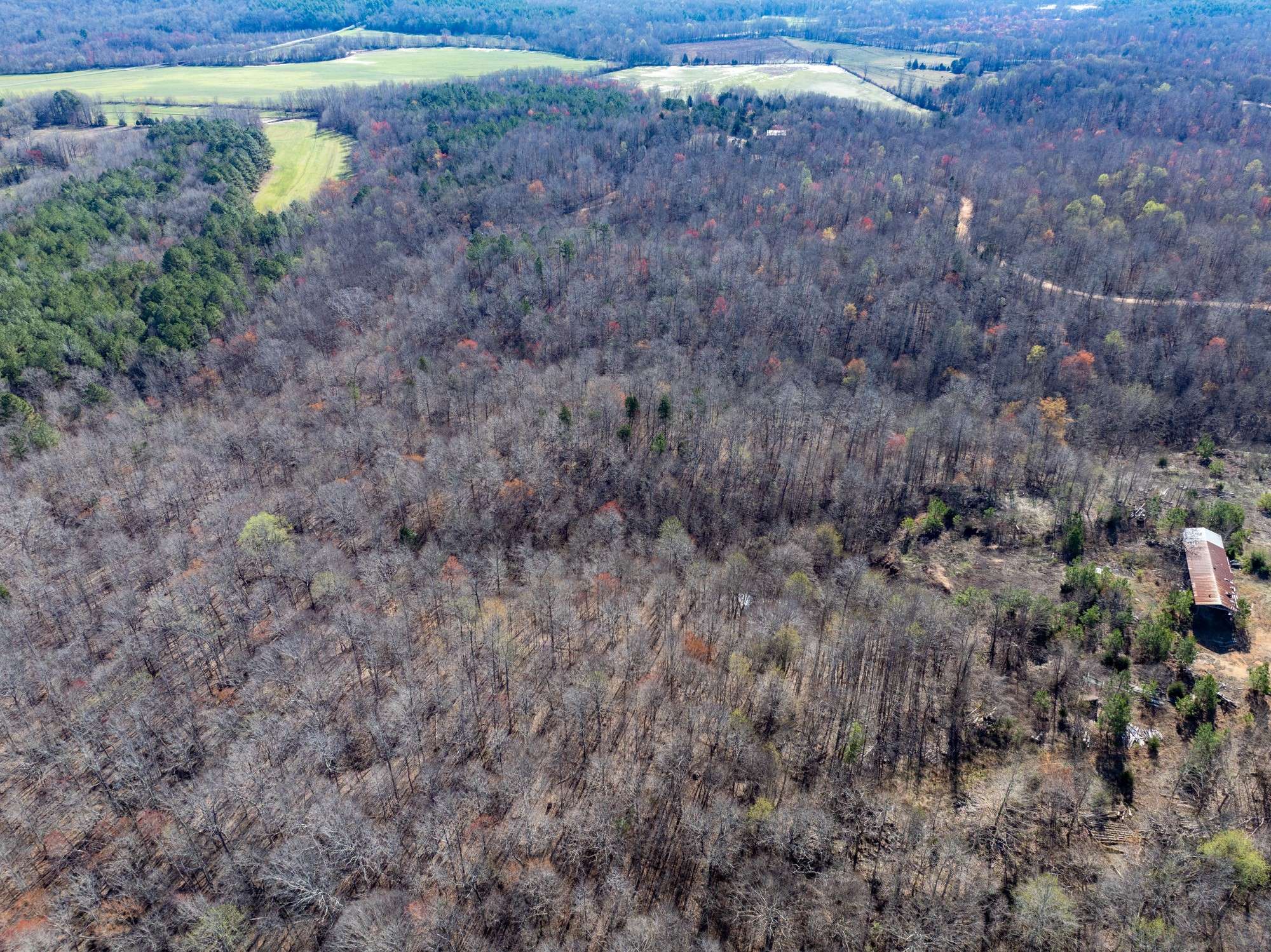 Parsons, TN 38363,0 Chester Quinn Lane