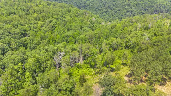 Soddy Daisy, TN 37379,0 Worley Road