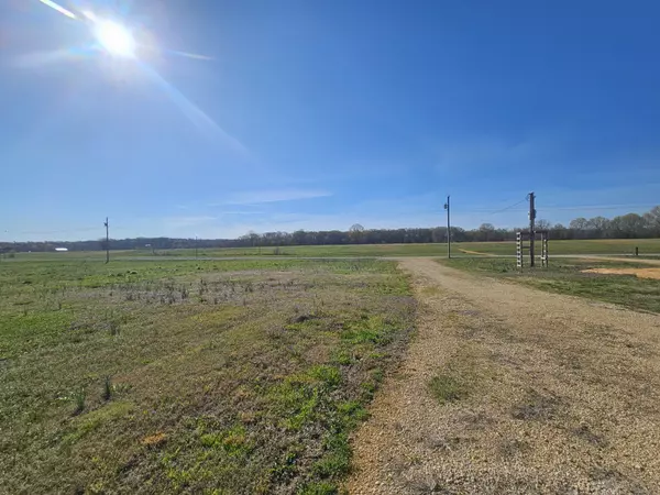 Clifton, TN 38425,406 S River Front Dr