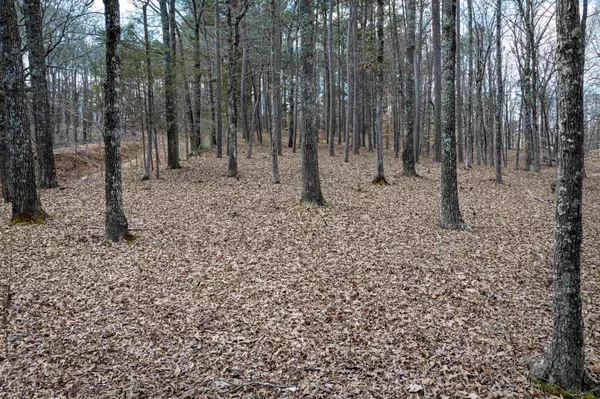 Huntingdon, TN 38344,0 Kyle Rd