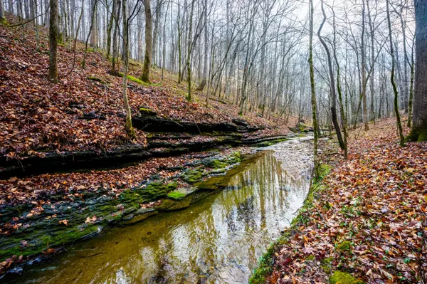 Ashland City, TN 37015,123 Frey St