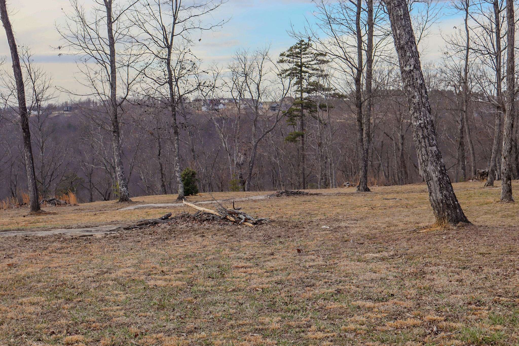 Jasper, TN 37347,0 River View Court