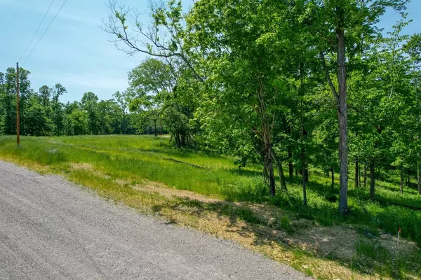 Sparta, TN 38583,0 Peninsula Edge Ct #S