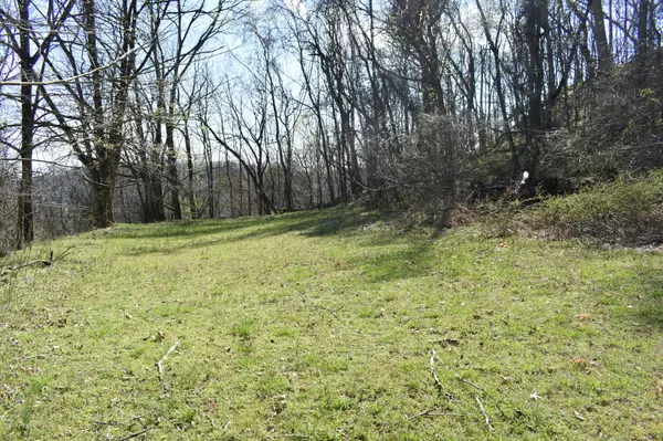 Carthage, TN 37030,0 Turkey Creek Hwy