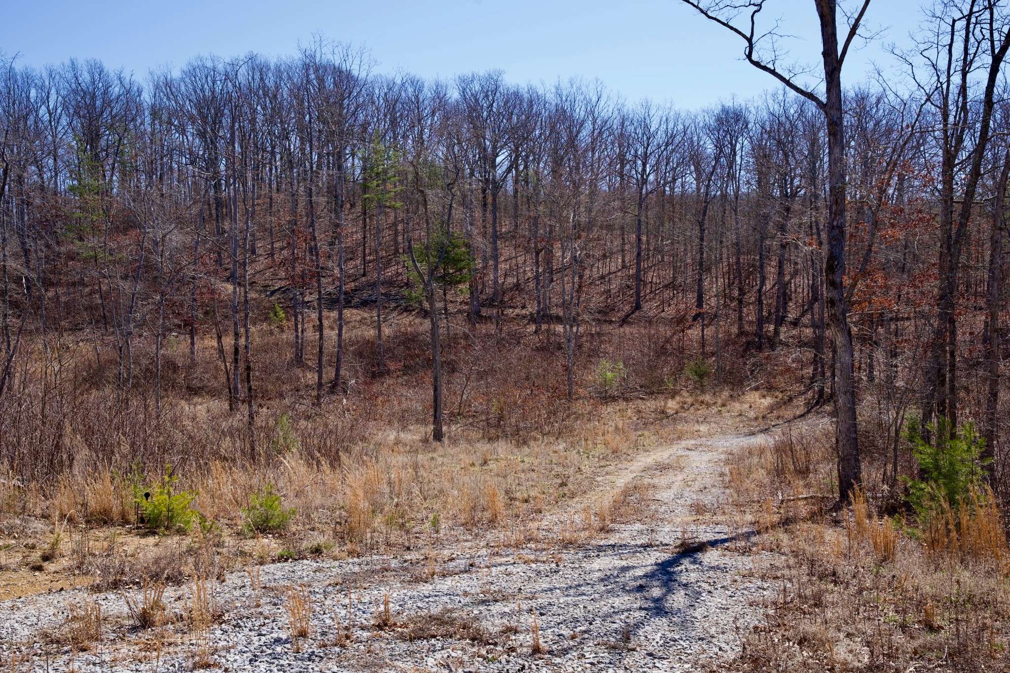 Pikeville, TN 37367,0 Simmons Road