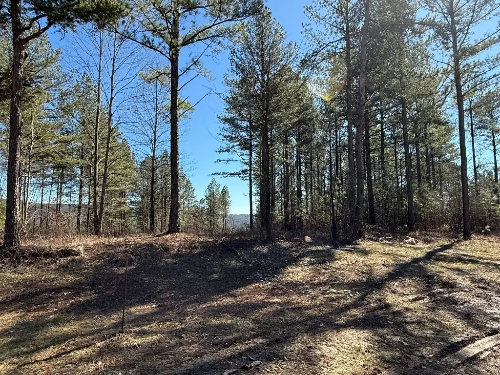 Guild, TN 37340,1375 Split Rail Way