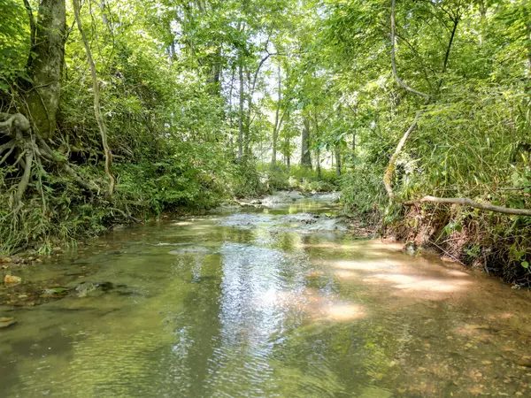 College Grove, TN 37046,0 Choctaw Road