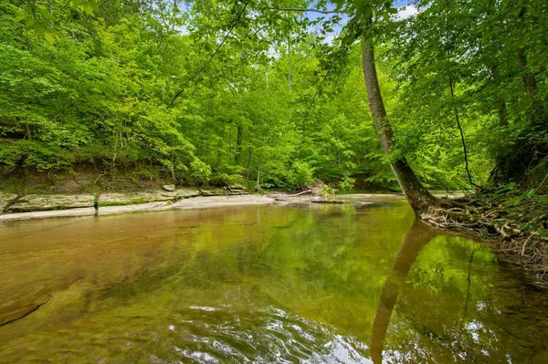 Fairview, TN 37062,7749 Crow Cut Rd