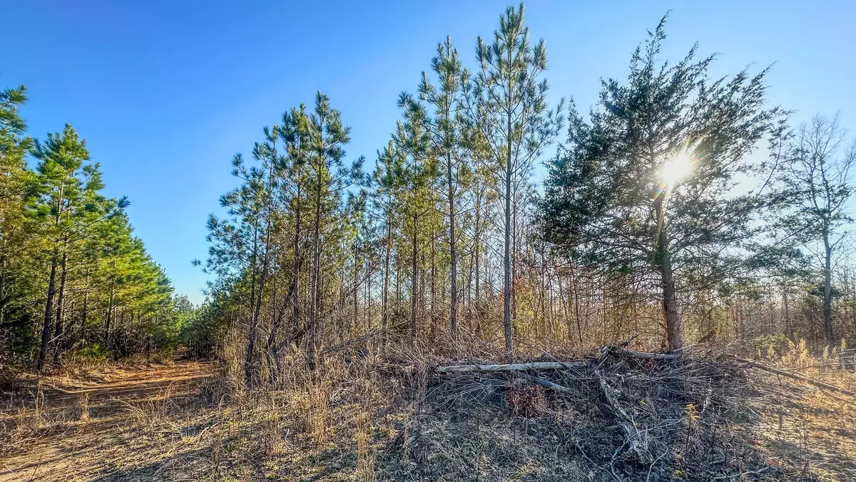 Parsons, TN 38363,0 Jeanette Holladay Rd