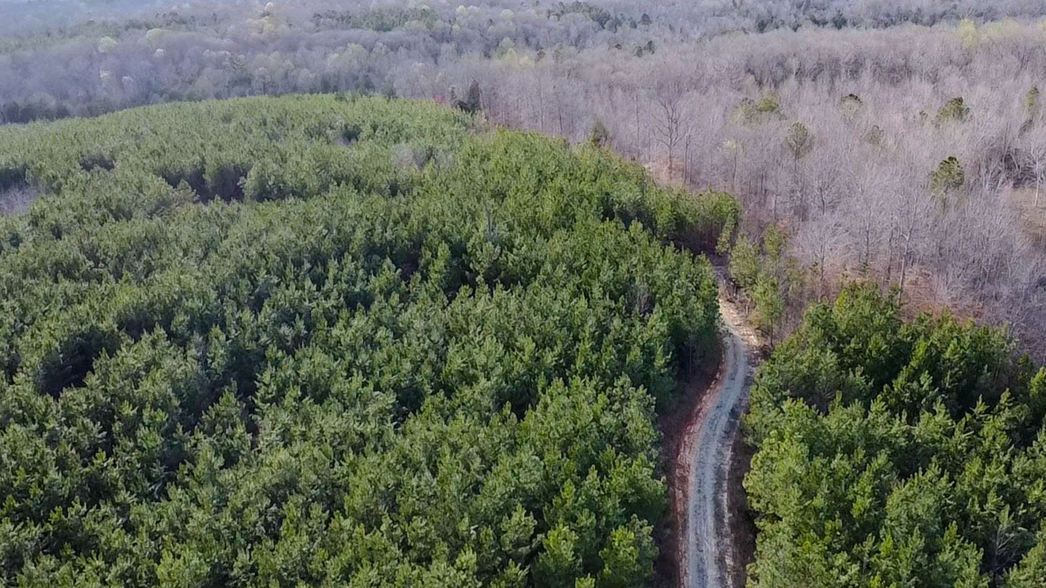 0 Jeanette Holladay Rd, Parsons, TN 38363