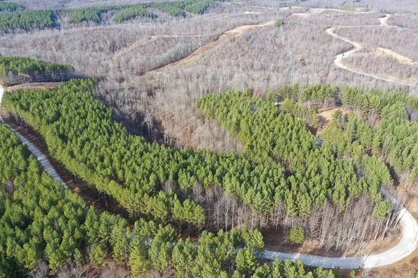 Waverly, TN 37185,0 Bear Hollow Drive