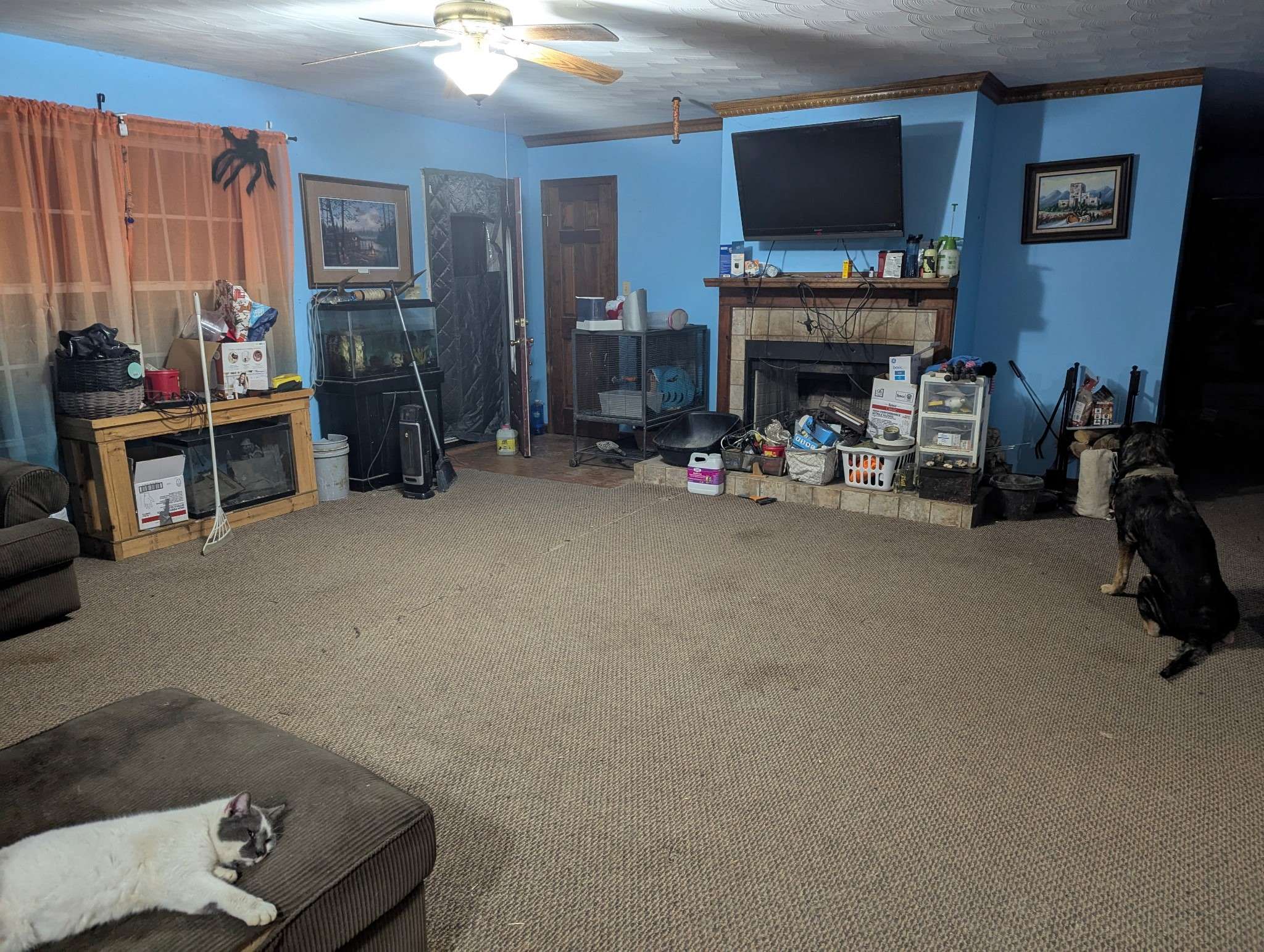 Palmyra, TN 37142,3755 Possum Hollow Rd