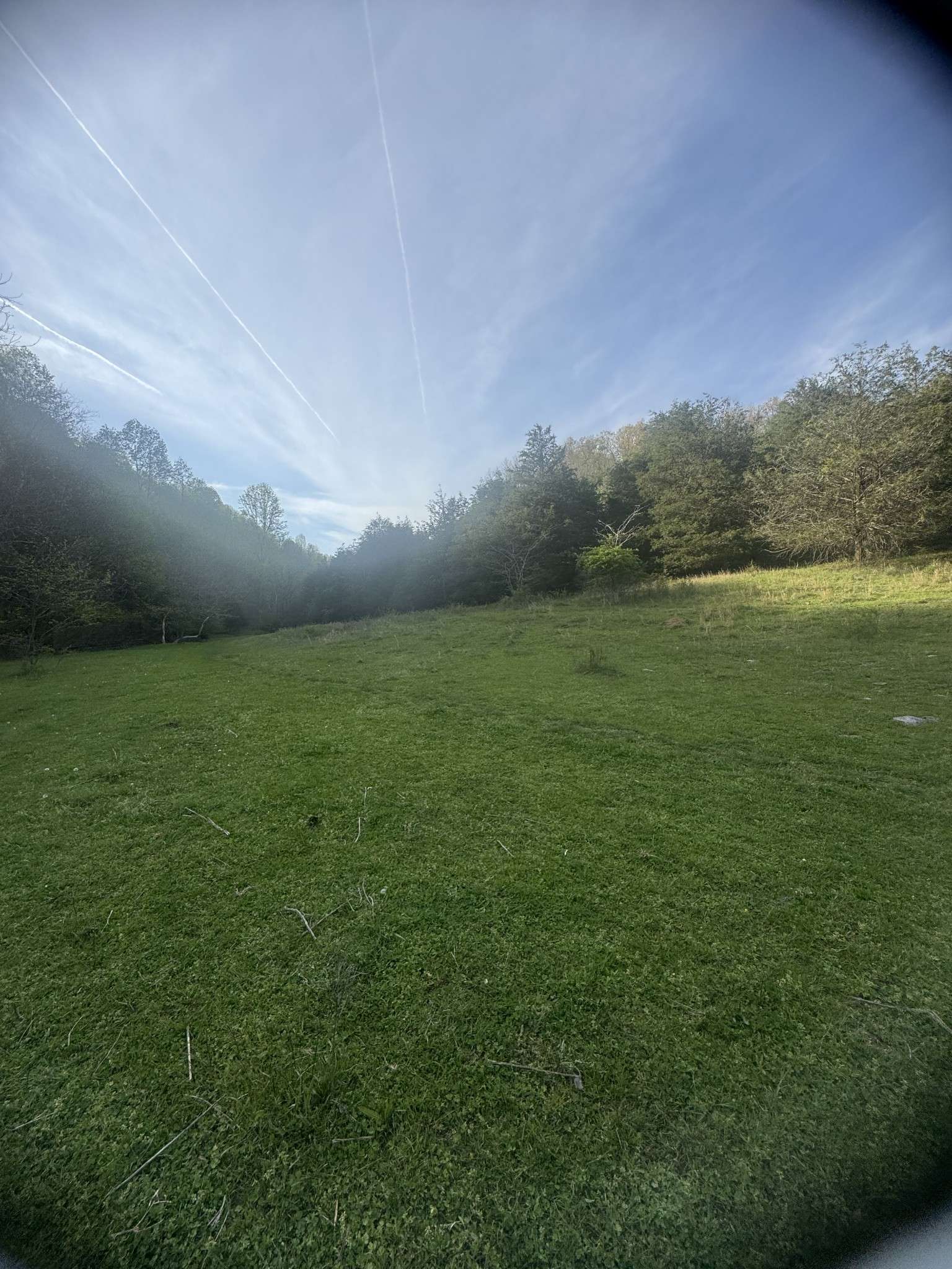 Wartrace, TN 37183,419 Tillman Hollow Rd
