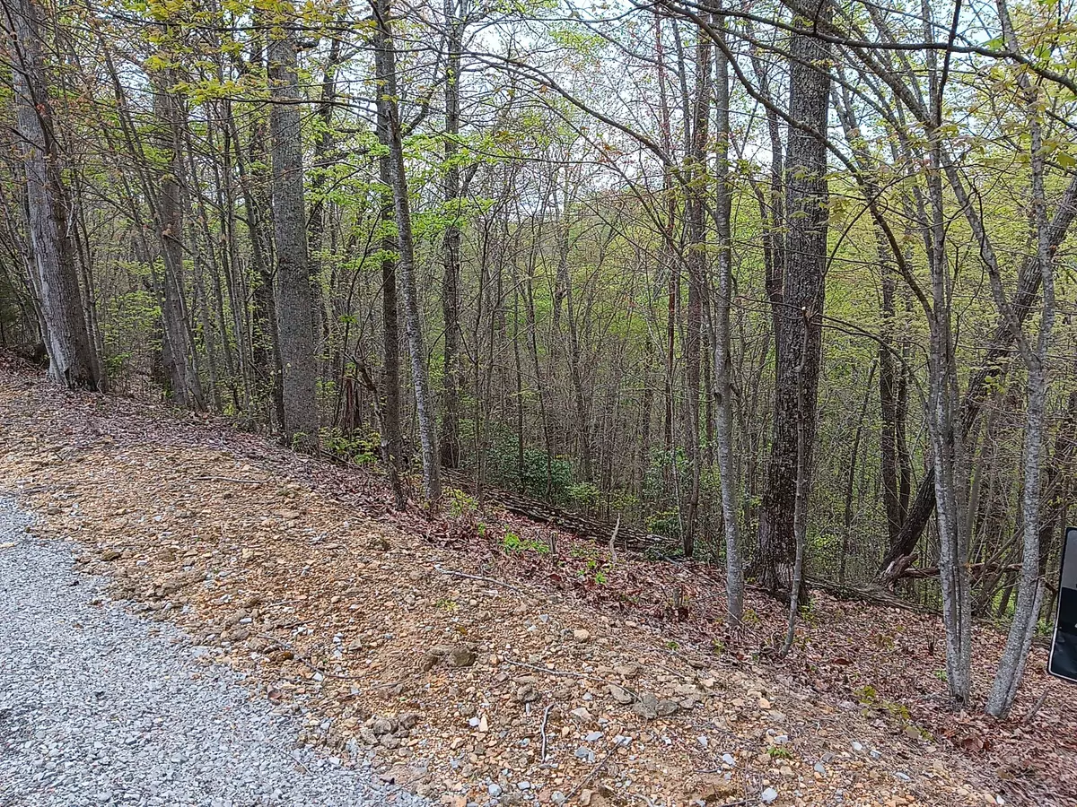 Smithville, TN 37166,273 Tennis Center Drive
