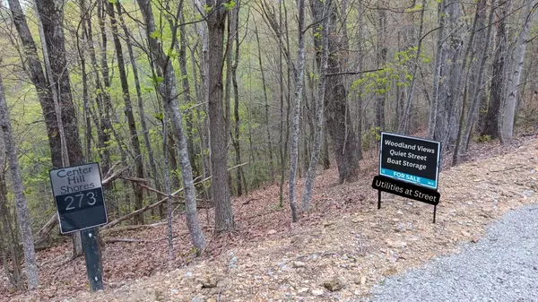 Smithville, TN 37166,273 Tennis Center Drive