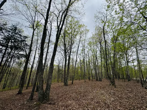 Waverly, TN 37185,0 Richland Harbor Rd