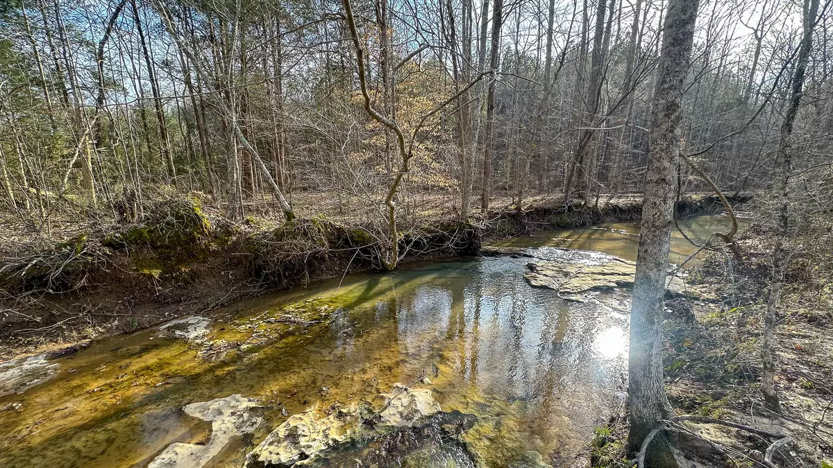 Parsons, TN 38363,0 Jeannette Holladay Rd