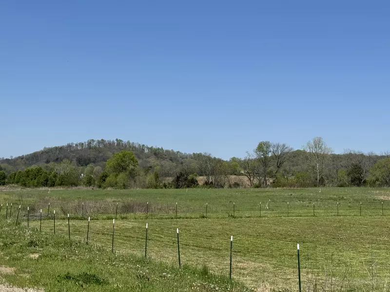 102 Creek Bank Dr, Bethpage, TN 37022