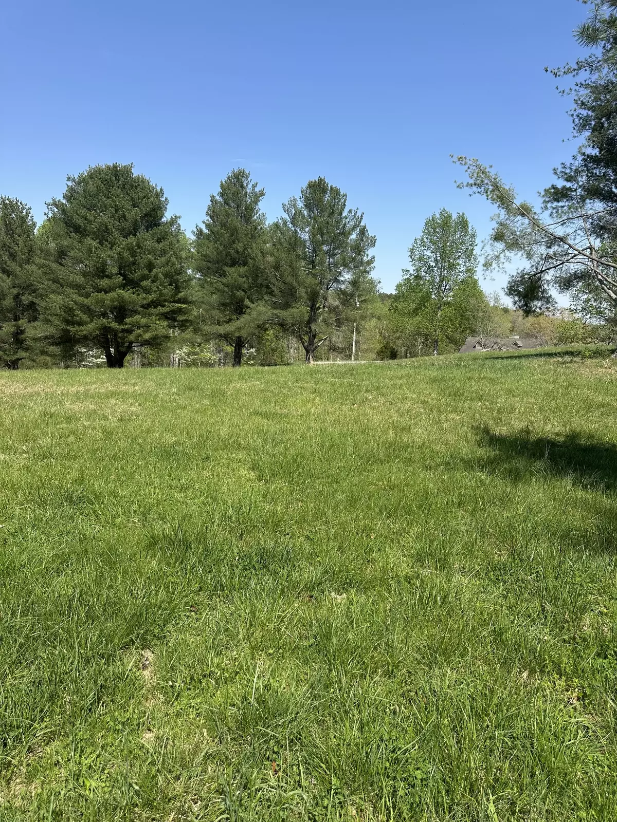 Smithville, TN 37166,0 Fish Hook Dr