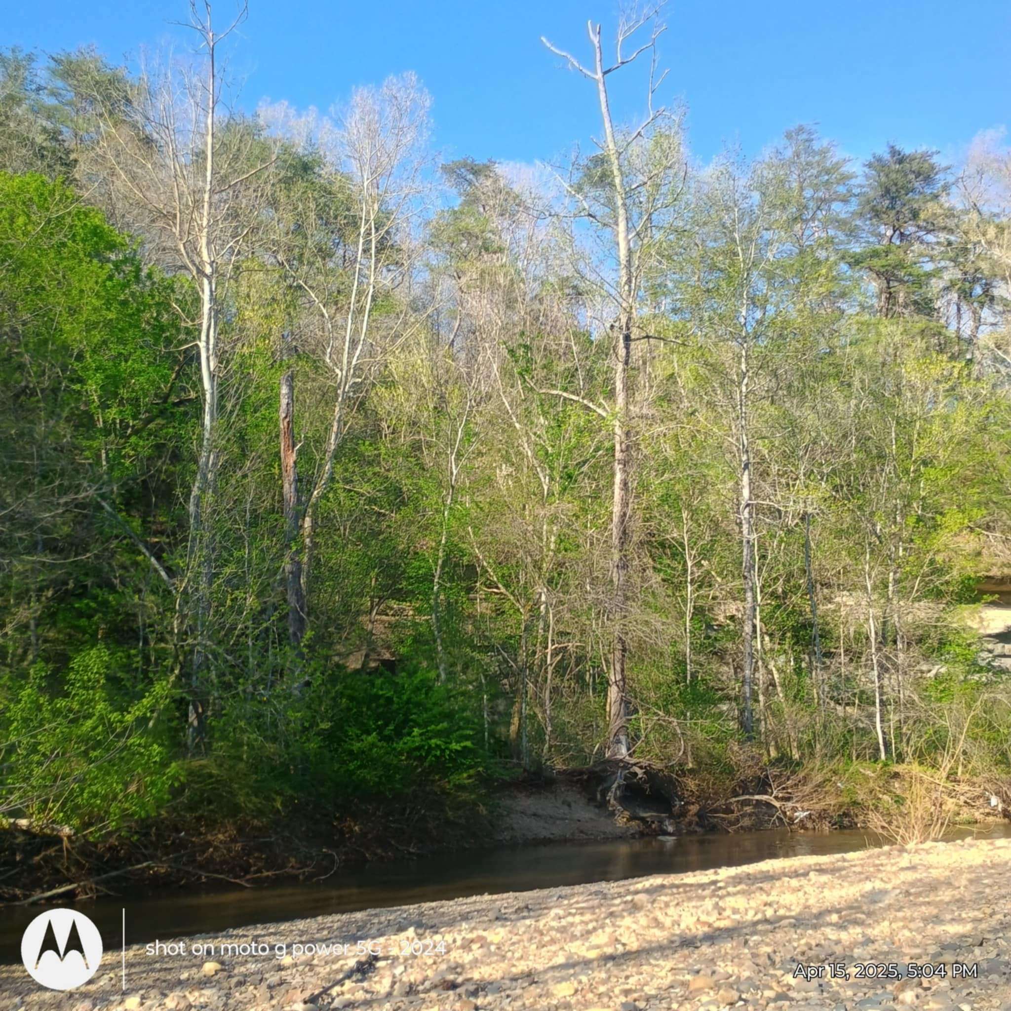 Ashland City, TN 37015,120 Donnelly Ln