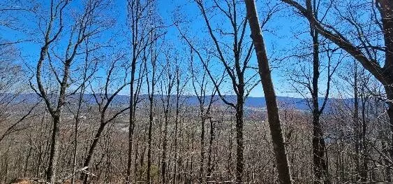 Dunlap, TN 37327,1 Vista View Drive #S