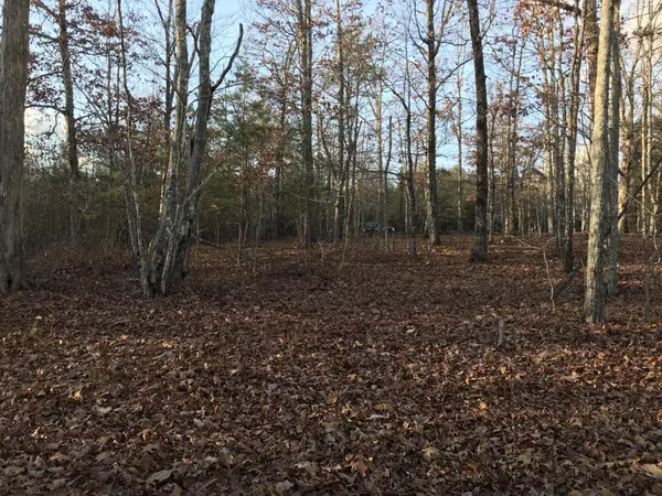 Dunlap, TN 37327,1 Vista View Drive #S