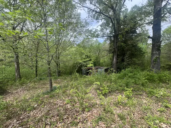 Medon, TN 38356,6790 Teague Rd