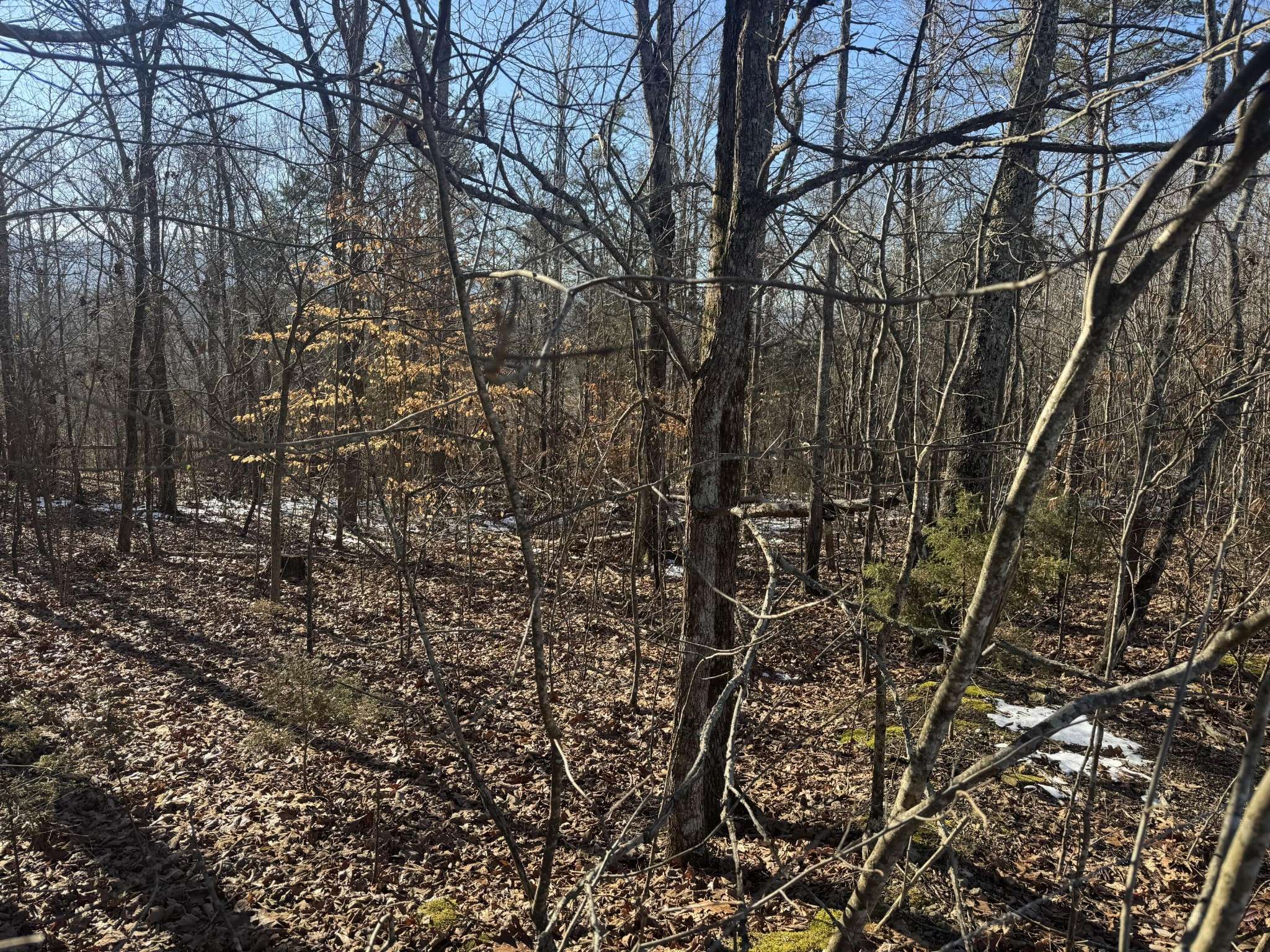 Dunlap, TN 37327,280 Chapman Road