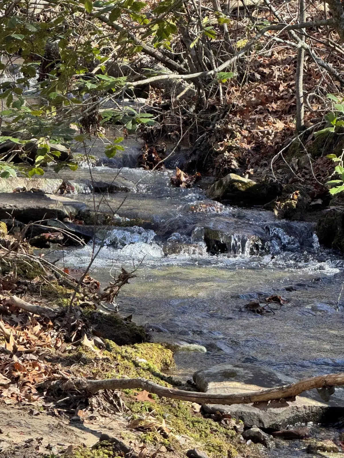 Dunlap, TN 37327,626 Woodland Ridge Road