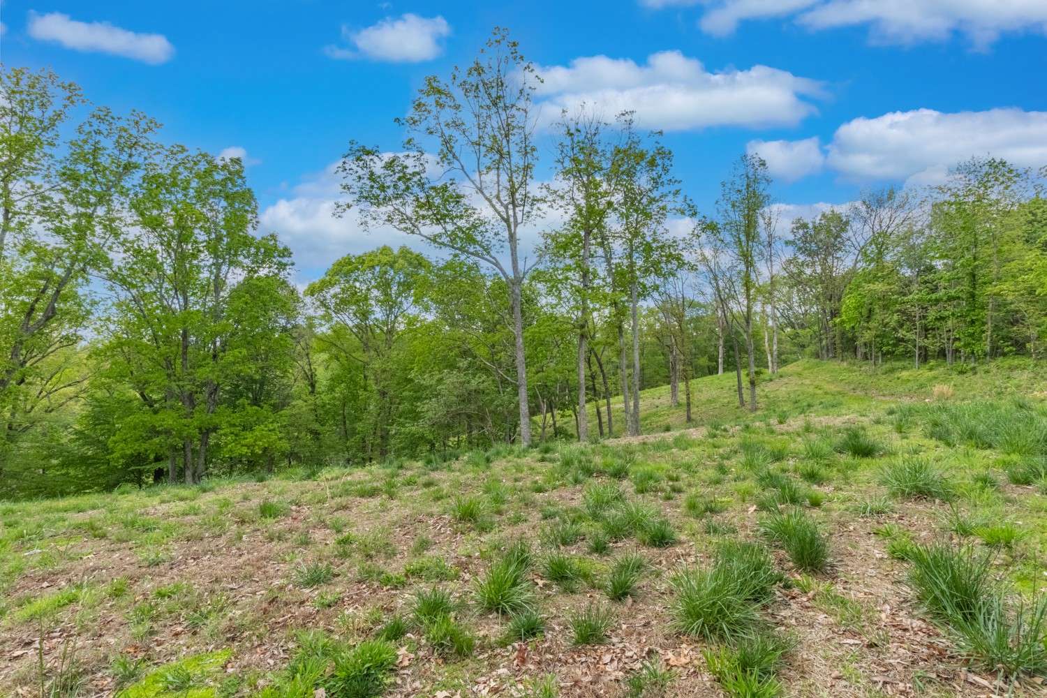 Hampshire, TN 38461,4648 Love Branch Rd