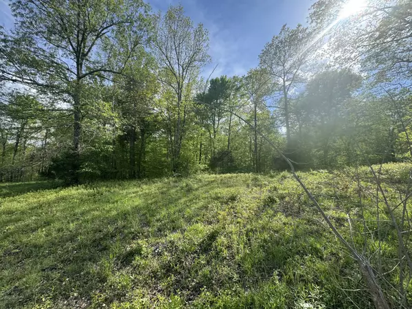 Centerville, TN 37033,0 Woodmont Dr